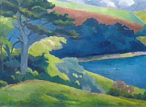 Passaggio di Helford, Cornovaglia da Cristiana Angelini