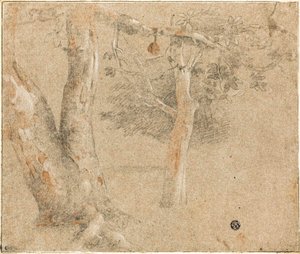 Schizzi di alberi da Cristofano Allori