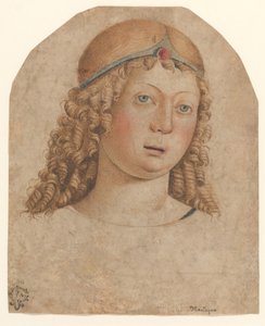 Testa di un Giovane con Diadema, fine XV-inizio XVI secolo da Cristoforo Caselli