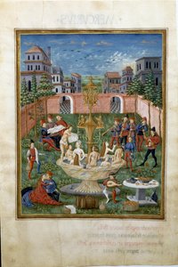 Influenza di Venere: il giardino dell