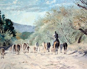 Andando verso le colline