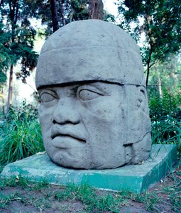 Civiltà precolombiana: testa colossale olmeca. X-VII secolo a.C. Messico. Parco Museo di La Venta da Culture Olmec