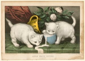 Piccoli gattini bianchi in marachella da Currier and Ives