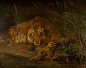 Tigre e Preda, 1931 da Cuthbert Edmund Swan