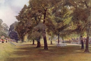 Alberi sul prato a Marlborough House