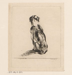 Cane seduto visto di schiena da D. Merrem