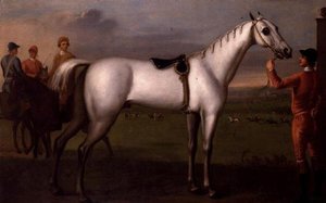Palafreniere che tiene un cavallo da corsa grigio da D. Quigley
