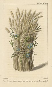 Ciotola a forma di covone di grano da D. Sluyter