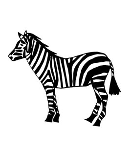 Zebra, 2024 (tecnica mista)