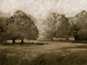 Parco del castello da Dan Hobday