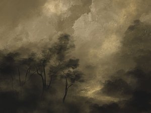 Moody Woods