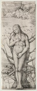 Eva da Daniel Hopfer