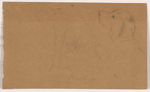 Disegno, Dash (un Setter), testa e corpo, 1862 ca.