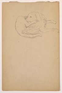 Disegno, Dash (un Setter), 1862 ca. da Daniel Huntington