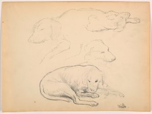 Disegno, Milo (un pointer), diversi studi, 1862 ca.