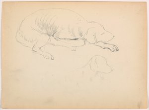 Disegno, Milo (un pointer), due studi, 1862 ca. da Daniel Huntington