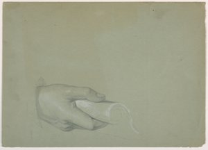 Disegno, studio per "Tribute Money", 1852 da Daniel Huntington