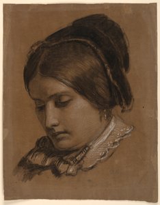 Disegno, La moglie dell