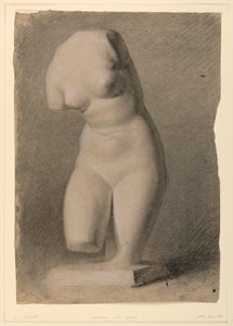Torso femminile da un calco in gesso