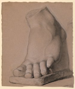 Piede sinistro da un calco in gesso