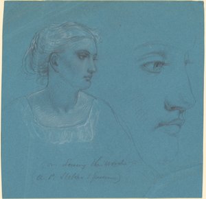 Studi per "Seminare la Parola"