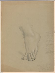 Studio per il piede di Matteo in "Cristiana e i suoi figli"