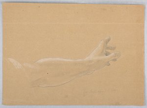 Studio della mano per l