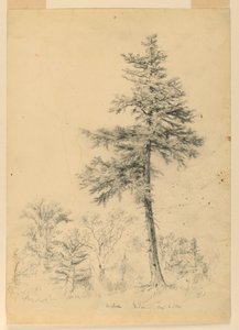 Studio della cicuta, Gorham, New Hampshire da Daniel Huntington