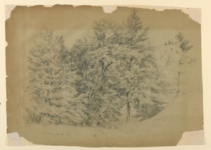 Studio di alberi, North Conway, New Hampshire da Daniel Huntington