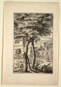 Tavola nel Nouveaux Livre de Paysages (Nuovo Libro di Paesaggi) da Daniel Marot