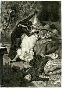 Illustrazione per 