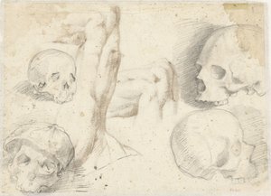 Quattro studi di un cranio