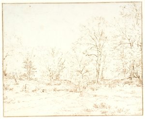 Una Strada nel Bosco