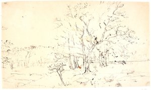 Paesaggio con alberi da Dankvart Dreyer