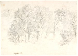 Studio di alberi da Dankvart Dreyer