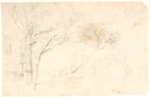Studi di alberi da Dankvart Dreyer