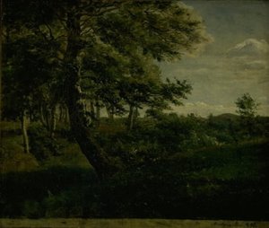 Foresta di Ørsbjerg ad Aarup, Funen da Dankvart Dreyer