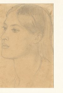 Testa di donna
