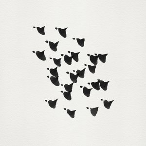 Il volo degli uccelli minimalista da Danushka Abeygoda