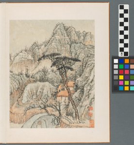Ricordi del fiume Qinhuai, Dinastia Qing da Daoji Shitao