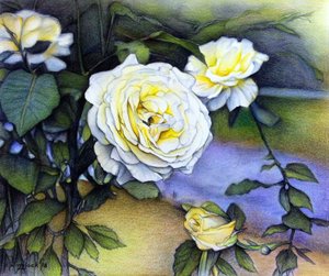 Rose dell