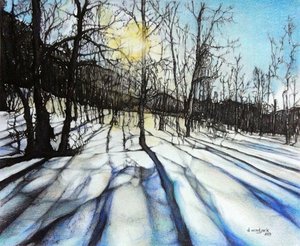 Ombre invernali, 2017