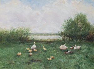 Anatre e Anatroccoli da David Adolph Constant Artz
