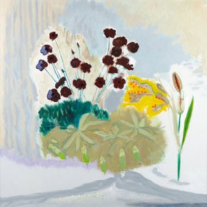 Baccelli e cosmo, 2010