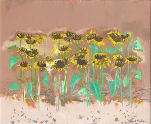 Girasoli