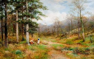 Sul Long Mynd, Church Stretton, 1907 da David Bates