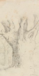 Albero da David Charles Read