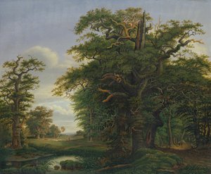 Bosco di querce, 1847 da David Christopher Mettlerkamp