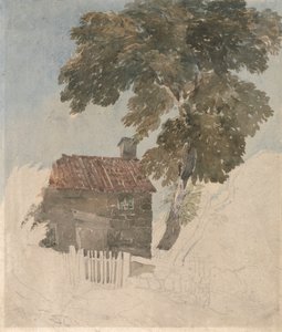 Cottage e alberi