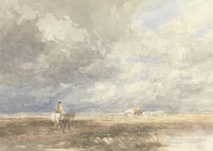 Andando al campo di fieno